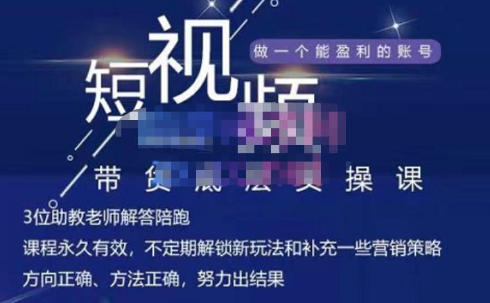 吴Sir·短视频带货底层实操课，教你如何选爆品、了解获短视频流量密码，正确起号四海领钱-网创-知识付费-网创项目资源站-副业项目-创业项目-搞钱项目四海领钱