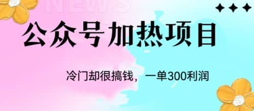 冷门公众号加热项目，一单利润300+四海领钱-网创-知识付费-网创项目资源站-副业项目-创业项目-搞钱项目四海领钱