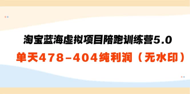 淘宝蓝海虚拟项目陪跑训练营5.0：单天478纯利润（无水印）四海领钱-网创-知识付费-网创项目资源站-副业项目-创业项目-搞钱项目四海领钱