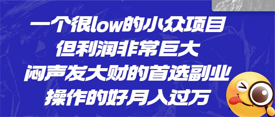 一个很low的小众项目，但利润非常巨大，闷声发大财的首选副业，月入过万四海领钱-网创-知识付费-网创项目资源站-副业项目-创业项目-搞钱项目四海领钱