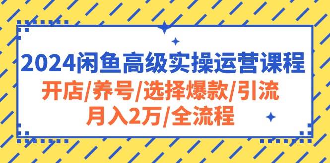 2024闲鱼高级实操运营课程：开店/养号/选择爆款/引流/月入2万/全流程四海领钱-网创-知识付费-网创项目资源站-副业项目-创业项目-搞钱项目四海领钱