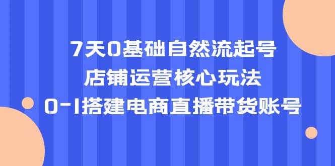 7天0基础自然流起号，店铺运营核心玩法，0-1搭建电商直播带货账号四海领钱-网创-知识付费-网创项目资源站-副业项目-创业项目-搞钱项目四海领钱