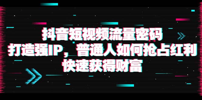 抖音短视频流量密码：打造强IP，普通人如何抢占红利，快速获得财富四海领钱-网创-知识付费-网创项目资源站-副业项目-创业项目-搞钱项目四海领钱
