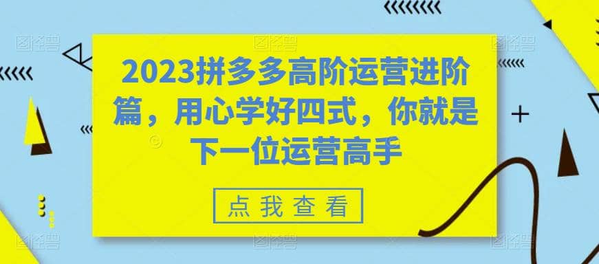 2023拼多多高阶运营进阶篇，用心学好四式，你就是下一位运营高手四海领钱-网创-知识付费-网创项目资源站-副业项目-创业项目-搞钱项目四海领钱