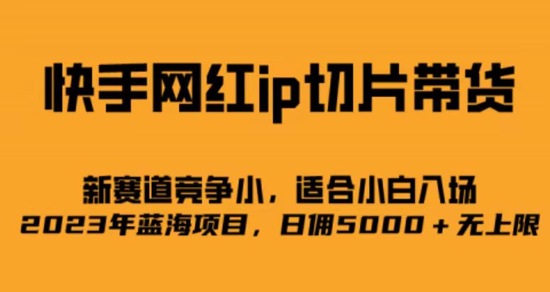 快手网红ip切片新赛道，竞争小事，适合小白 2023蓝海项目四海领钱-网创-知识付费-网创项目资源站-副业项目-创业项目-搞钱项目四海领钱