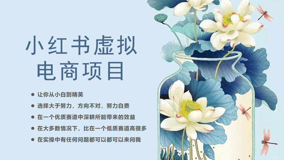 小红书虚拟电商从0到1，让你从小白到精英（20节实操课程）四海领钱-网创-知识付费-网创项目资源站-副业项目-创业项目-搞钱项目四海领钱