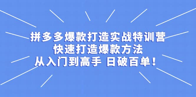 拼多多爆款打造实战特训营：快速打造爆款方法，从入门到高手 日破百单四海领钱-网创-知识付费-网创项目资源站-副业项目-创业项目-搞钱项目四海领钱
