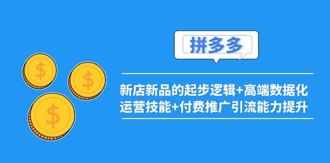 2022拼多多：新店新品的起步逻辑+高端数据化运营技能+付费推广引流能力提升四海领钱-网创-知识付费-网创项目资源站-副业项目-创业项目-搞钱项目四海领钱