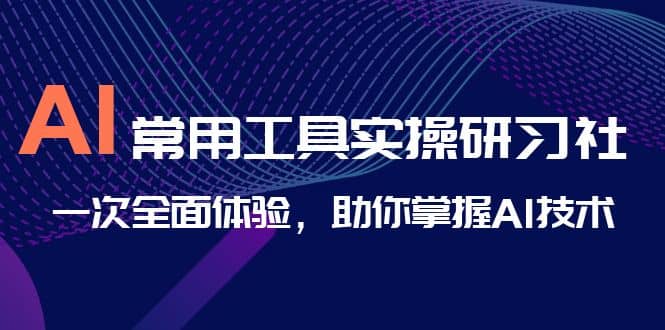AI-常用工具实操研习社，一次全面体验，助你掌握AI技术四海领钱-网创-知识付费-网创项目资源站-副业项目-创业项目-搞钱项目四海领钱