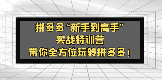 拼多多“新手到高手”实战特训营：带你全方位玩转拼多多四海领钱-网创-知识付费-网创项目资源站-副业项目-创业项目-搞钱项目四海领钱