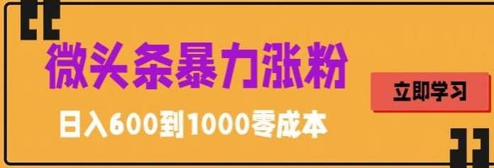 微头条暴力涨粉技巧搬运文案就能涨几万粉丝，简单0成本，日赚600四海领钱-网创-知识付费-网创项目资源站-副业项目-创业项目-搞钱项目四海领钱