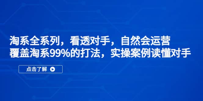 淘系全系列，看透对手，自然会运营，覆盖淘系99%·打法，实操案例读懂对手四海领钱-网创-知识付费-网创项目资源站-副业项目-创业项目-搞钱项目四海领钱