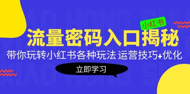 小红书流量密码入口揭秘：带你玩转小红书各种玩法 运营技巧+优化四海领钱-网创-知识付费-网创项目资源站-副业项目-创业项目-搞钱项目四海领钱