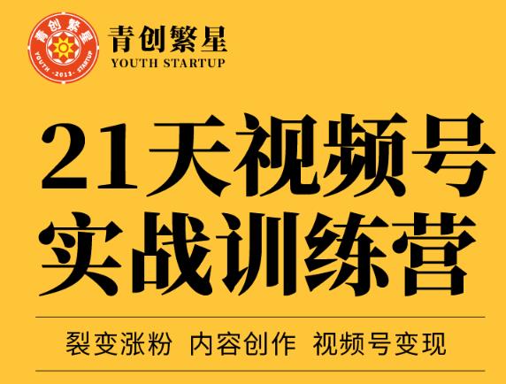 张萌21天视频号实战训练营，裂变涨粉、内容创作、视频号变现 价值298元四海领钱-网创-知识付费-网创项目资源站-副业项目-创业项目-搞钱项目四海领钱