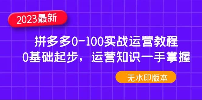2023拼多多0-100实战运营教程，0基础起步，运营知识一手掌握（无水印）四海领钱-网创-知识付费-网创项目资源站-副业项目-创业项目-搞钱项目四海领钱