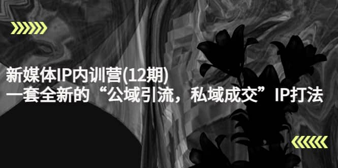 新媒体IP内训营(12期)，一套全新的“公域引流，私域成交”IP打法，直接带走四海领钱-网创-知识付费-网创项目资源站-副业项目-创业项目-搞钱项目四海领钱