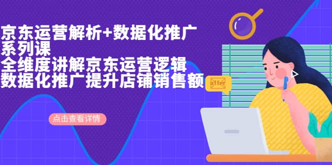 京东运营解析与数据化推广系列课，全维度讲解京东运营逻辑+数据化推广提升店铺销售额四海领钱-网创-知识付费-网创项目资源站-副业项目-创业项目-搞钱项目四海领钱
