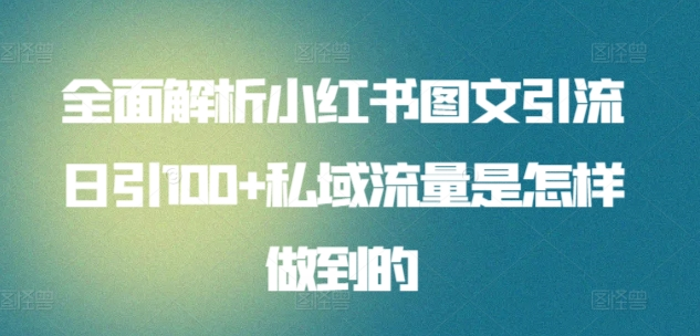 日引流100私域流量小红书图文是怎样做到的全面解析四海领钱-网创-知识付费-网创项目资源站-副业项目-创业项目-搞钱项目四海领钱