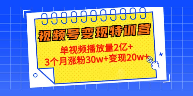 20天视频号变现特训营：单视频播放量2亿+四海领钱-网创-知识付费-网创项目资源站-副业项目-创业项目-搞钱项目四海领钱