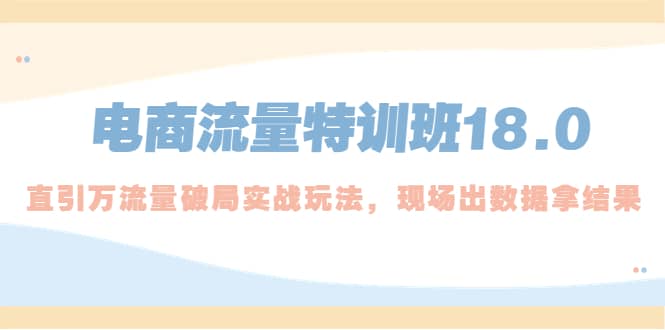 电商流量特训班18.0，直引万流量破局实操玩法，现场出数据拿结果四海领钱-网创-知识付费-网创项目资源站-副业项目-创业项目-搞钱项目四海领钱