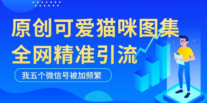 黑科技纯原创可爱猫咪图片，全网精准引流，实操5个VX号被加频繁四海领钱-网创-知识付费-网创项目资源站-副业项目-创业项目-搞钱项目四海领钱