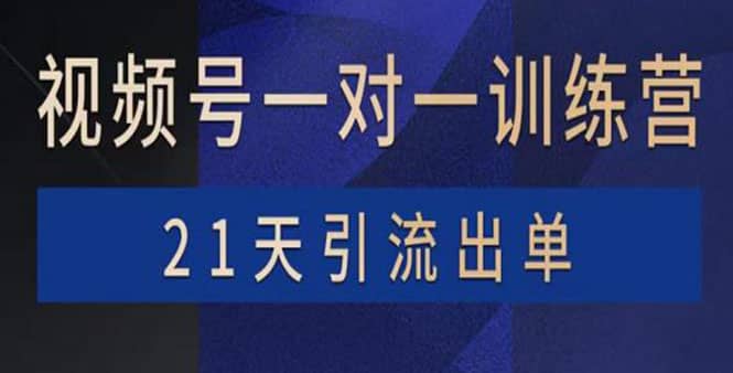 视频号训练营：带货，涨粉，直播，游戏，四大变现新方向，21天引流出单四海领钱-网创-知识付费-网创项目资源站-副业项目-创业项目-搞钱项目四海领钱
