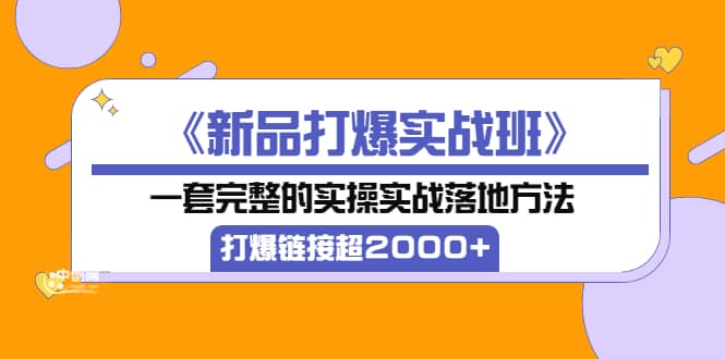 《新品打爆实战班》一套完整的实操实战落地方法，打爆链接超2000+（38节课)四海领钱-网创-知识付费-网创项目资源站-副业项目-创业项目-搞钱项目四海领钱
