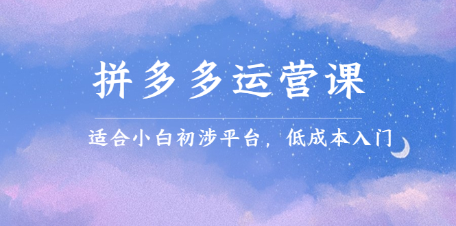 拼多多运营课，适合小白初涉平台，低成本入门四海领钱-网创-知识付费-网创项目资源站-副业项目-创业项目-搞钱项目四海领钱