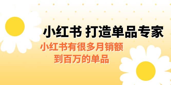 某公众号付费文章《小红书 打造单品专家》小红书有很多月销额到百万的单品四海领钱-网创-知识付费-网创项目资源站-副业项目-创业项目-搞钱项目四海领钱