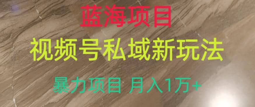 蓝海项目，视频号私域新玩法，暴力项目月入1万+【揭秘】四海领钱-网创-知识付费-网创项目资源站-副业项目-创业项目-搞钱项目四海领钱