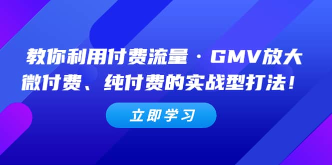 教你利用付费流量·GMV放大，微付费、纯付费的实战型打法四海领钱-网创-知识付费-网创项目资源站-副业项目-创业项目-搞钱项目四海领钱