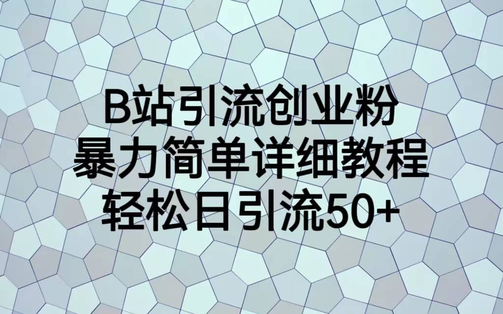 B站引流创业粉，暴力简单详细教程，轻松日引流50+四海领钱-网创-知识付费-网创项目资源站-副业项目-创业项目-搞钱项目四海领钱
