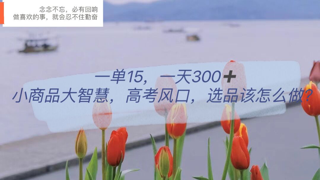 一单15，一天300+，小商品大智慧，高考风口，选品该怎么布局四海领钱-网创-知识付费-网创项目资源站-副业项目-创业项目-搞钱项目四海领钱