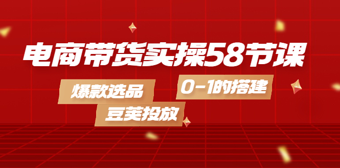 电商带货实操58节课，爆款选品，豆荚投放，0-1的搭建四海领钱-网创-知识付费-网创项目资源站-副业项目-创业项目-搞钱项目四海领钱