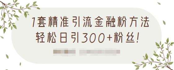 1套精准引流金融粉方法，轻松日引300+粉丝【视频课程】四海领钱-网创-知识付费-网创项目资源站-副业项目-创业项目-搞钱项目四海领钱