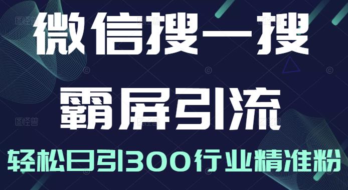 微信搜一搜霸屏引流课，打造被动精准引流系统，轻松日引300行业精准粉【无水印】四海领钱-网创-知识付费-网创项目资源站-副业项目-创业项目-搞钱项目四海领钱