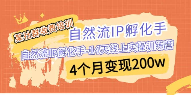 某社群收费培训：自然流IP 孵化手-14天线上实操训练营 4个月变现200w四海领钱-网创-知识付费-网创项目资源站-副业项目-创业项目-搞钱项目四海领钱