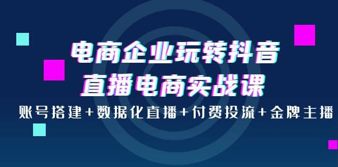 电商企业玩转抖音直播电商实战课：账号搭建+数据化直播+付费投流+金牌主播四海领钱-网创-知识付费-网创项目资源站-副业项目-创业项目-搞钱项目四海领钱
