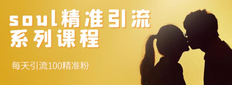 soul精准引流系列课程，每天引流100精准粉四海领钱-网创-知识付费-网创项目资源站-副业项目-创业项目-搞钱项目四海领钱