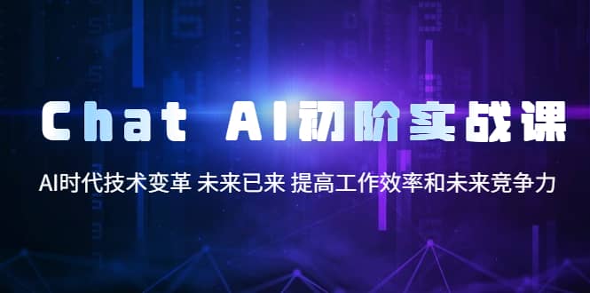 Chat AI初阶实战课，AI时代技术变革 未来已来 提高工作效率和未来竞争力四海领钱-网创-知识付费-网创项目资源站-副业项目-创业项目-搞钱项目四海领钱