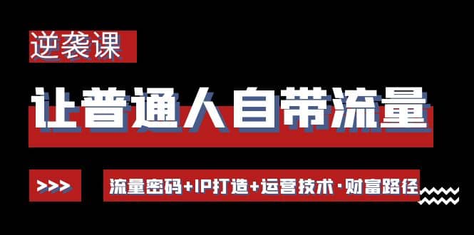 让普通人自带流量的逆袭课：流量密码+IP打造+运营技术·财富路径四海领钱-网创-知识付费-网创项目资源站-副业项目-创业项目-搞钱项目四海领钱