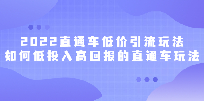 2022直通车低价引流玩法，教大家如何低投入高回报的直通车玩法四海领钱-网创-知识付费-网创项目资源站-副业项目-创业项目-搞钱项目四海领钱
