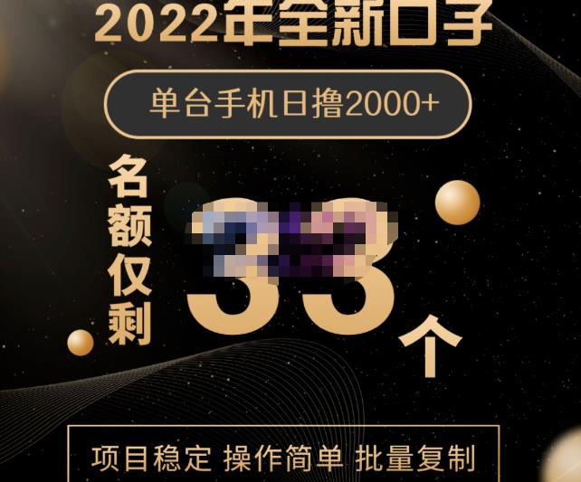 2022年全新口子，手机批量搬砖玩法，一部手机日撸2000+四海领钱-网创-知识付费-网创项目资源站-副业项目-创业项目-搞钱项目四海领钱
