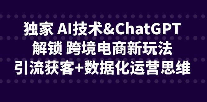 独家 AI技术ChatGPT解锁 跨境电商新玩法，引流获客+数据化运营思维四海领钱-网创-知识付费-网创项目资源站-副业项目-创业项目-搞钱项目四海领钱