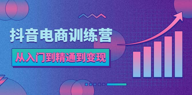 抖音电商训练营：从入门到精通，从账号定位到流量变现，抖店运营实操四海领钱-网创-知识付费-网创项目资源站-副业项目-创业项目-搞钱项目四海领钱