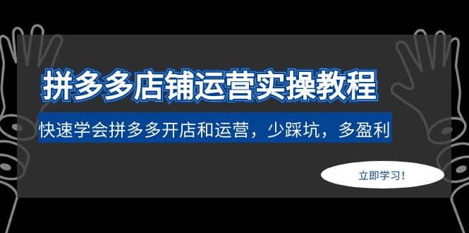 拼多多店铺运营实操教程：快速学会拼多多开店和运营，少踩坑，多盈利四海领钱-网创-知识付费-网创项目资源站-副业项目-创业项目-搞钱项目四海领钱