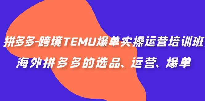 拼多多-跨境TEMU爆单实操运营培训班，海外拼多多的选品、运营、爆单四海领钱-网创-知识付费-网创项目资源站-副业项目-创业项目-搞钱项目四海领钱