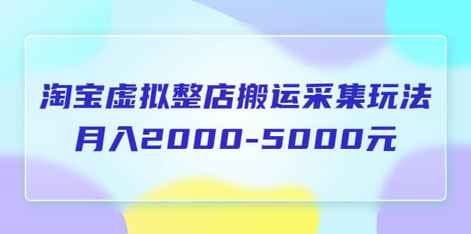 淘宝虚拟整店搬运采集玩法分享课：月入2000-5000元（5节课）四海领钱-网创-知识付费-网创项目资源站-副业项目-创业项目-搞钱项目四海领钱