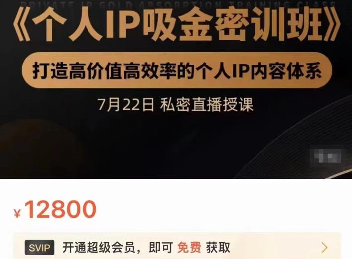 个人IP吸金密训班，打造高价值高效率的个人IP内容体系（价值12800元）四海领钱-网创-知识付费-网创项目资源站-副业项目-创业项目-搞钱项目四海领钱
