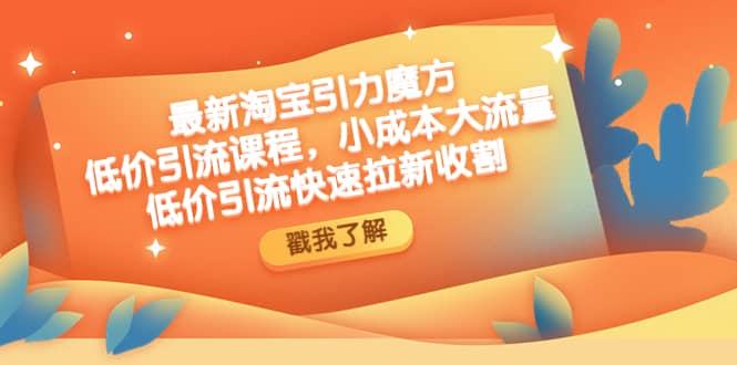 最新淘宝引力魔方低价引流实操：小成本大流量四海领钱-网创-知识付费-网创项目资源站-副业项目-创业项目-搞钱项目四海领钱